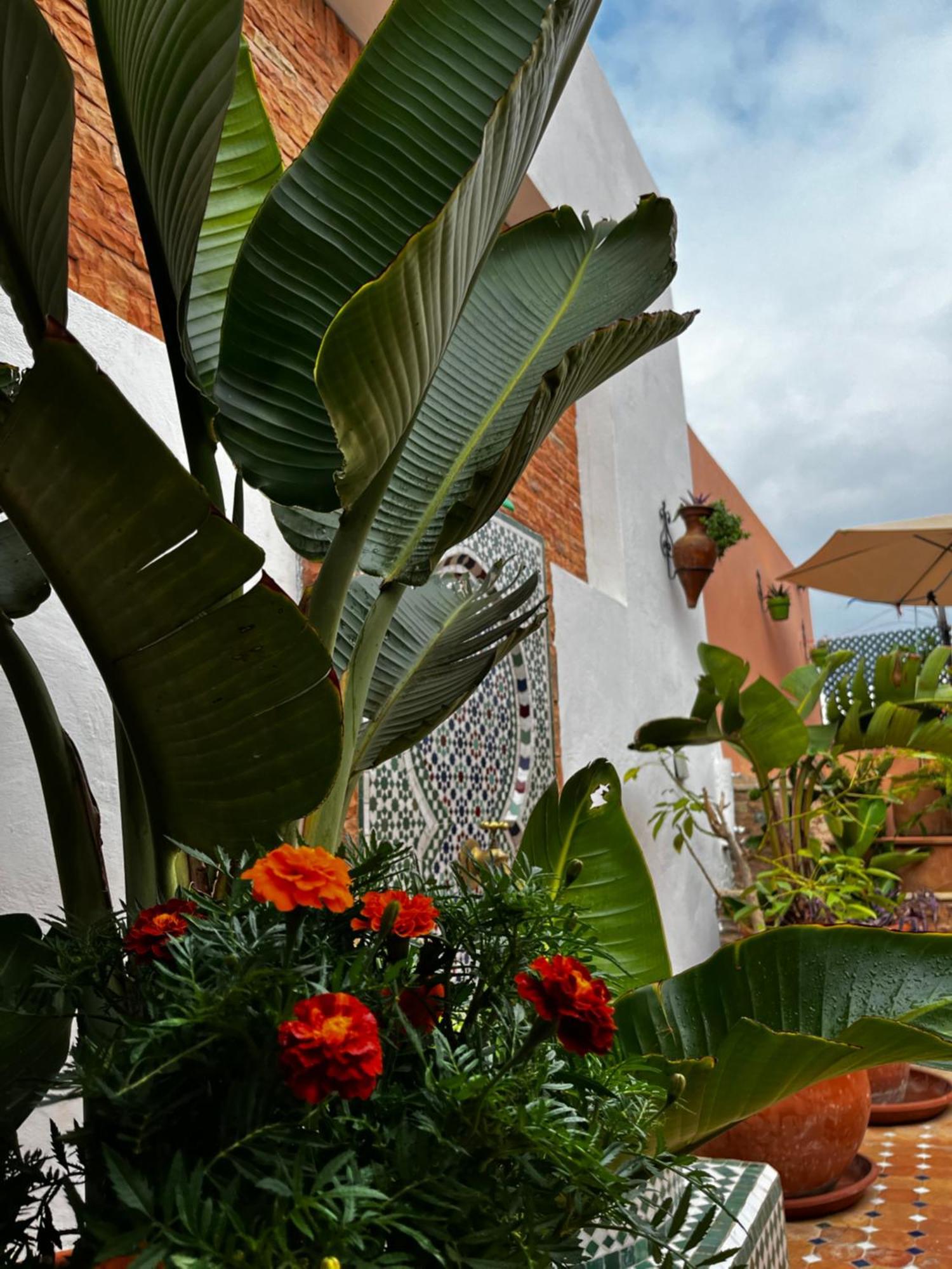 Casa Indigo Hotel Rabat Exterior foto
